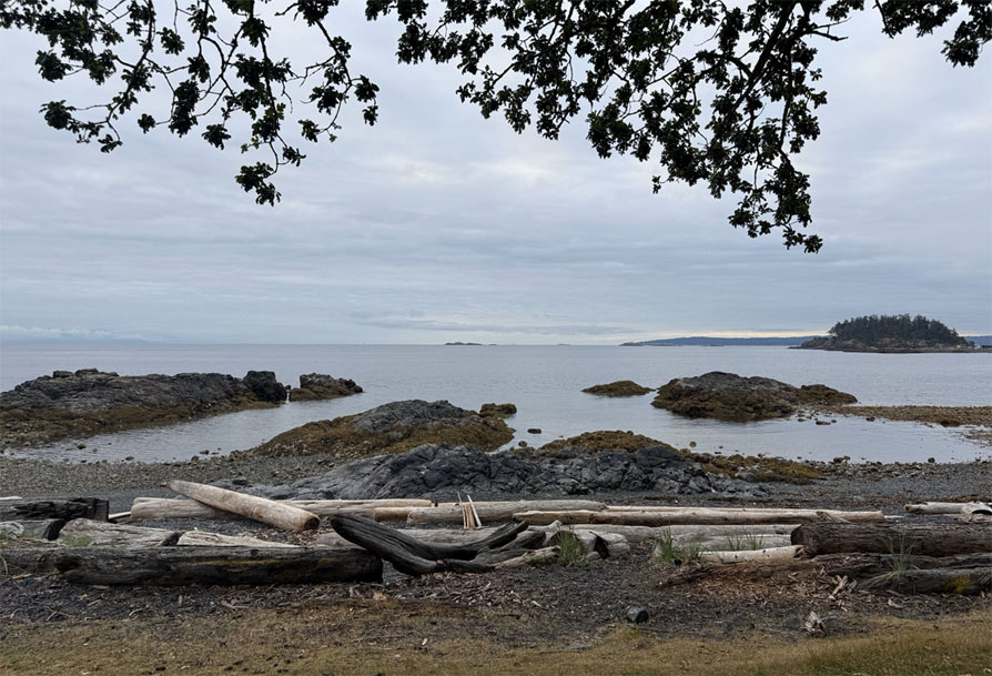 Photo shows a view of an overcast day at a rocky beach, strewn with logs, at Neck Point in 
	Nanaimo, British Columbia, Canada.