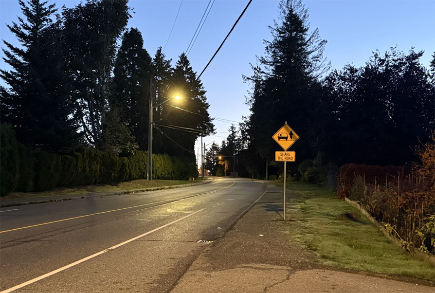 Photo of a quiet road just before dawn.
	The road winds away. A street lamp glows brightly in the photo.
	A yellow sign with a car and bike that says, 'Share the Road'.