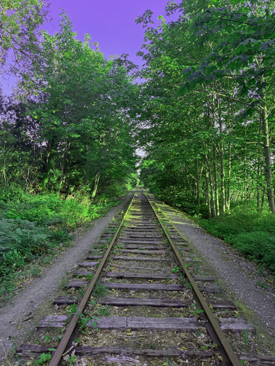 Photo of train tracks in a wooded area.